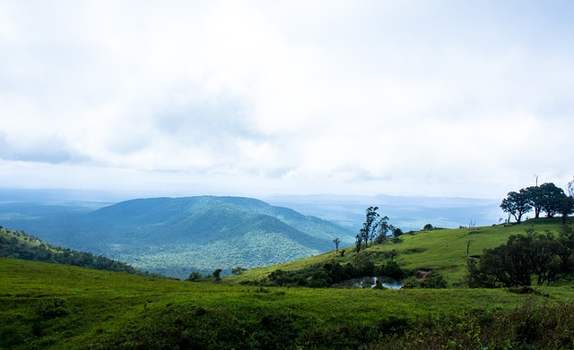 飞机照片在 飞机照片在