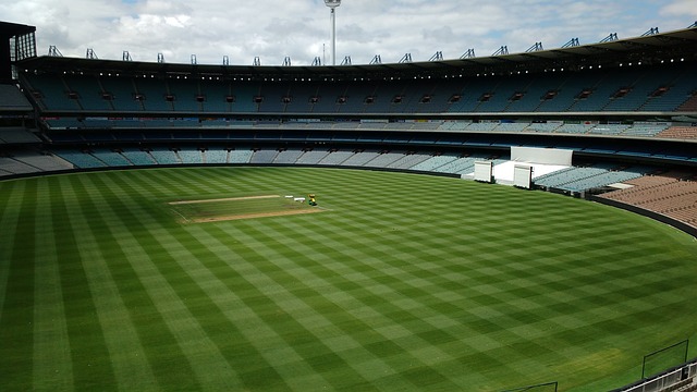 娱乐化和竞 娱乐化和竞