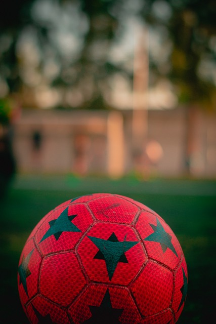 主裁判：國米球迷噓盧卡庫太過分，比賽可能會中斷！.