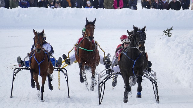 库里缺席 库里缺席
