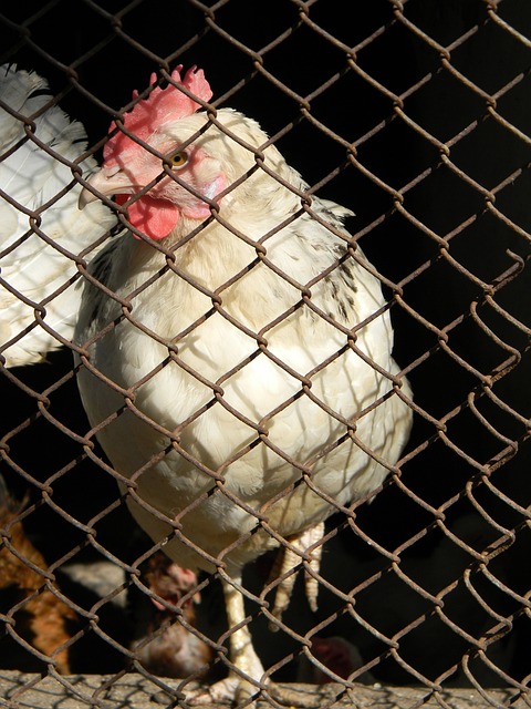 未有的体验 未有的体验