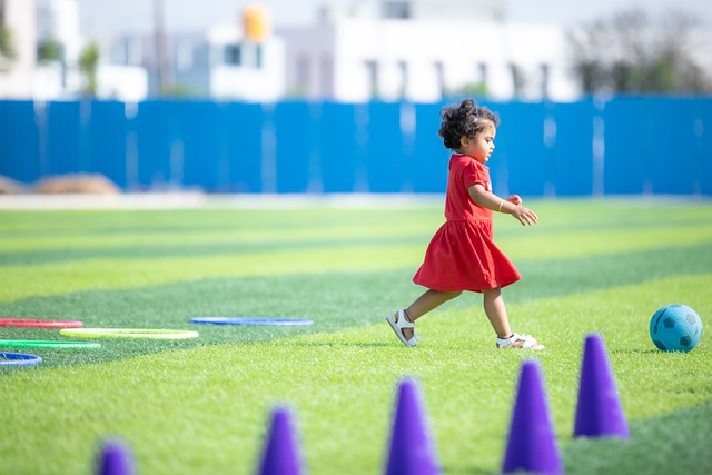 机肥的使用 机肥的使用