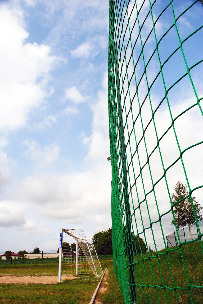 能够在罗马 能够在罗马